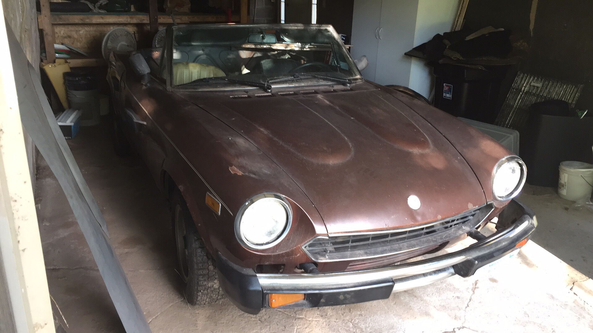 My 1980 Spider